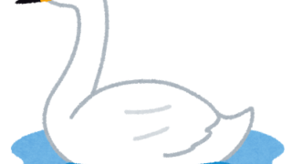 水面に浮かぶ白鳥